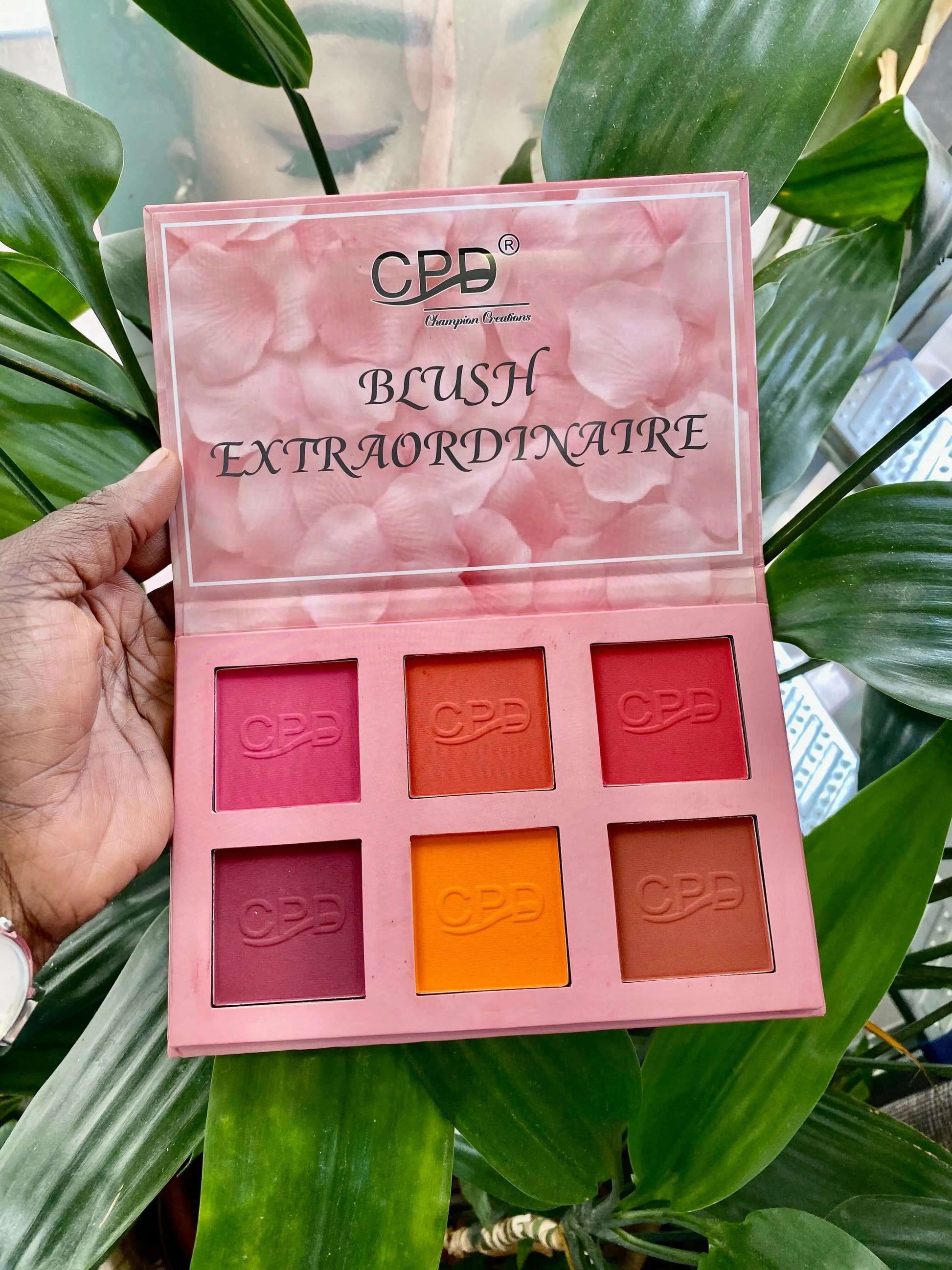 CPD 6 in 1 Blush Palette - La Mimz Beauty & Fashion Store