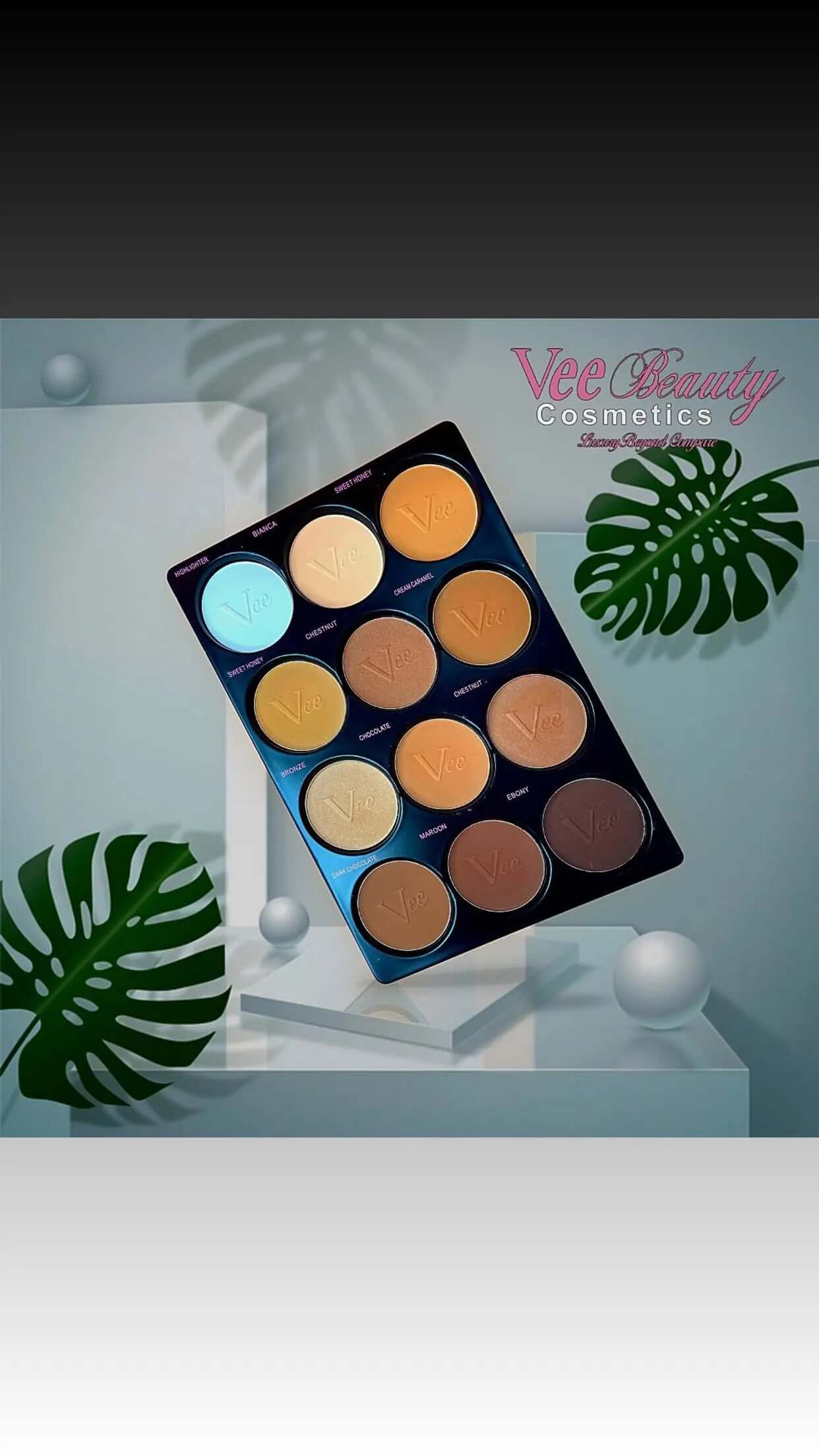 Vee Beauty 12 in 1 Powder Palette - La Mimz Beauty & Fashion Store