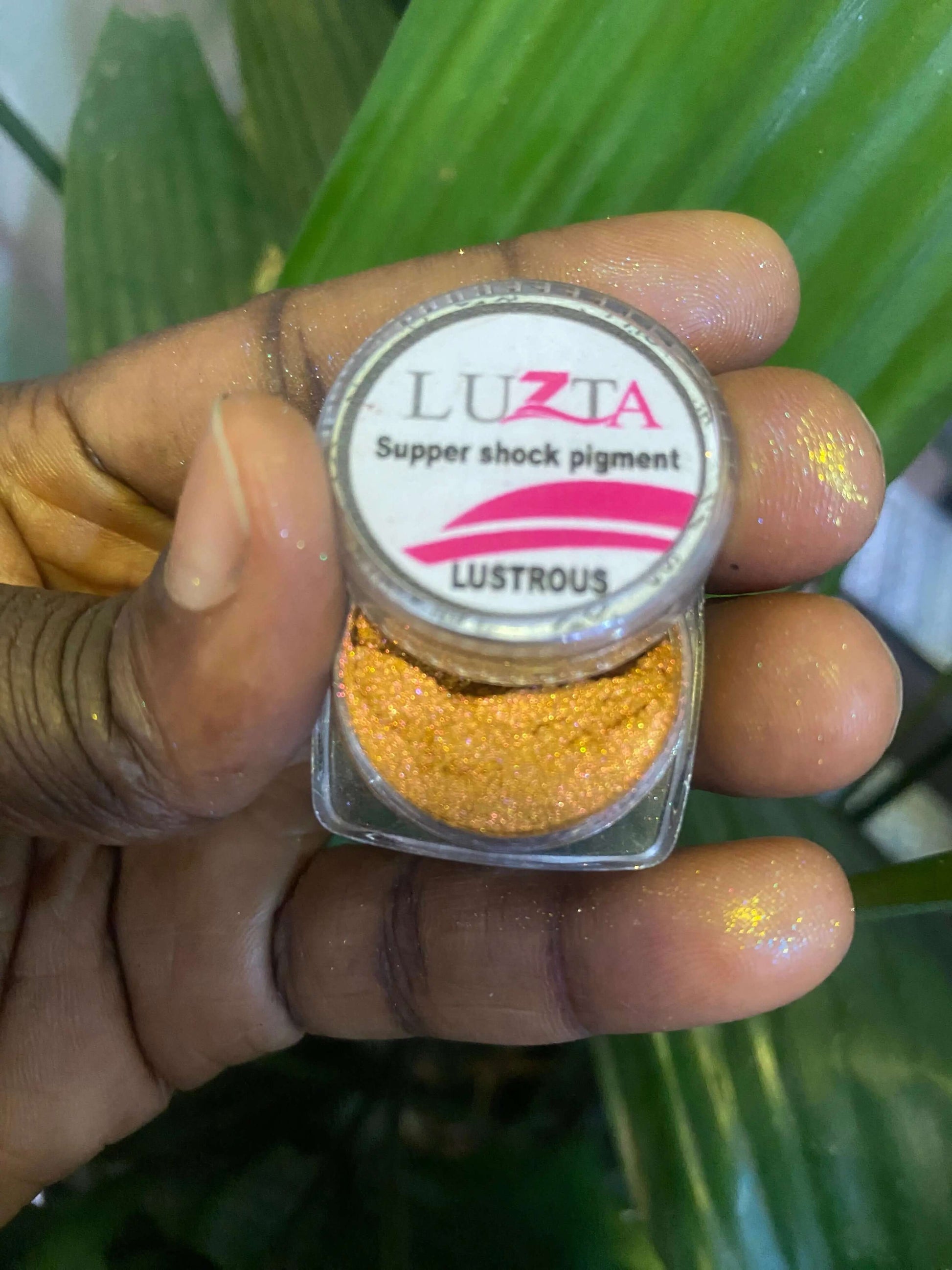 Luzta Super Chock Pigment - La Mimz Beauty & Fashion Store