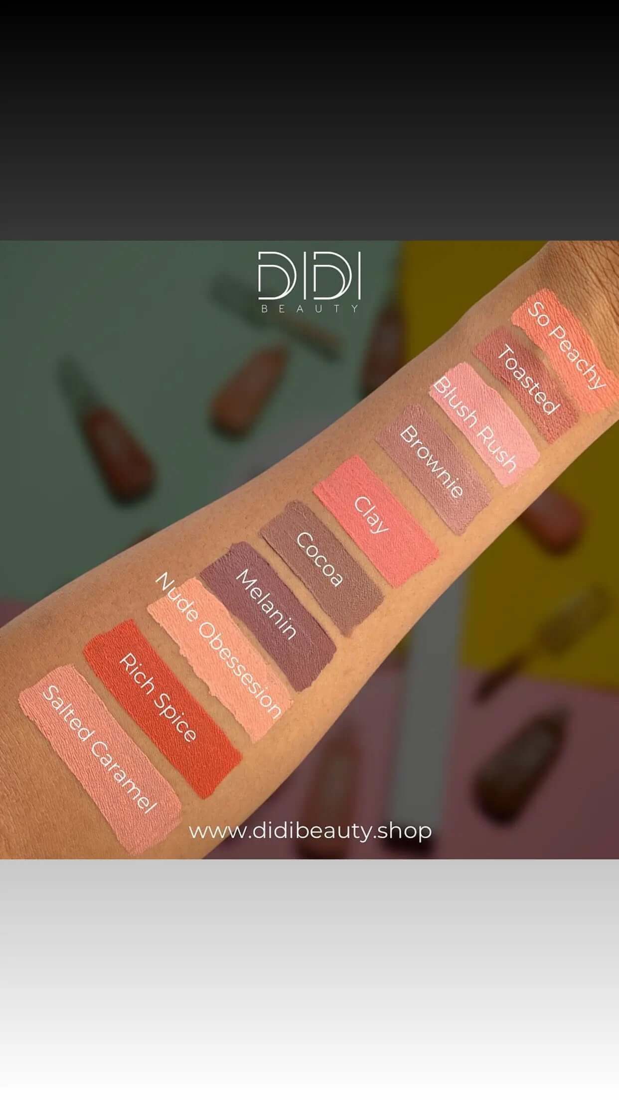 Didi Beauty Matte Lipstain/Liquid Lipstick - La Mimz Beauty & Fashion Store